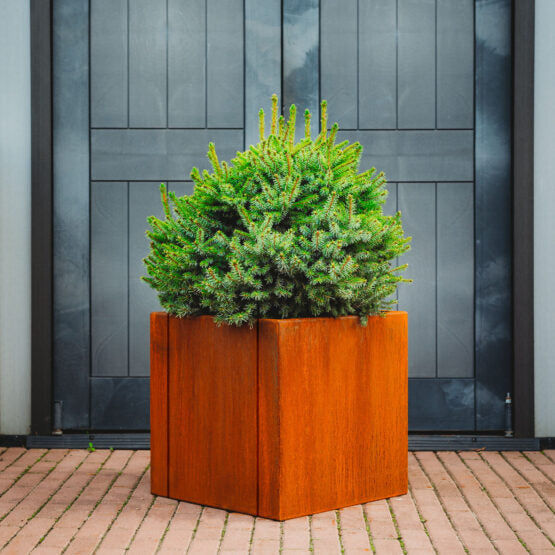 GrillSymbol Corten Steel Planter Clara L, 50x50x50 cm