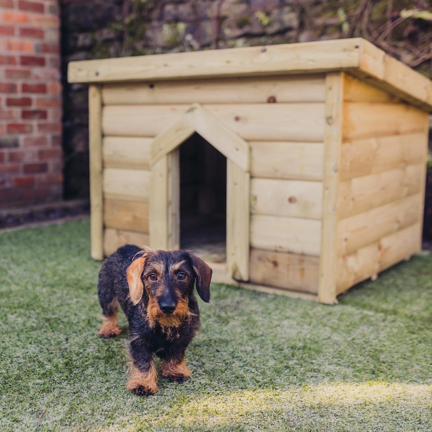 Pent Dog Kennel - Large