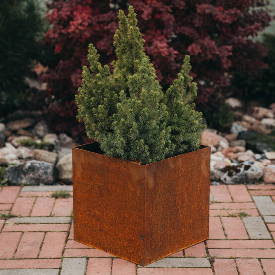 Petteri Wiimaa Corten Steel Planter Fiora XS