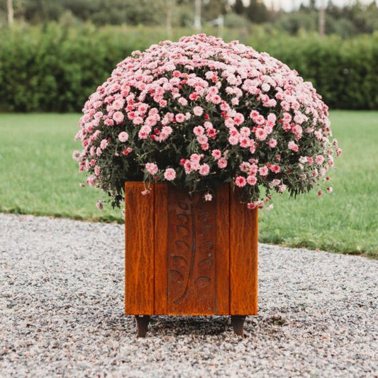 GrillSymbol Corten Steel Planter Fat Ballerina M, 40x40x49 cm