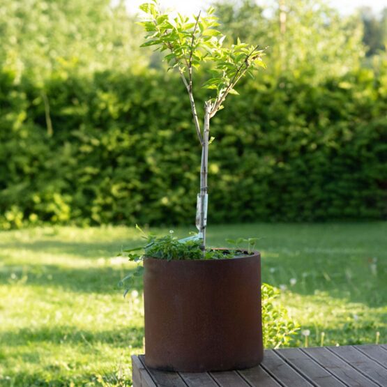 GrillSymbol Corten Steel Planter Myy XXL - 80 cm