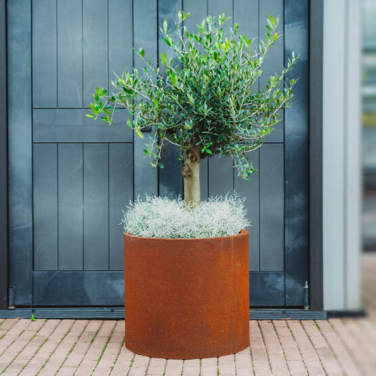 GrillSymbol Corten Steel Planter Myy - 53 cm