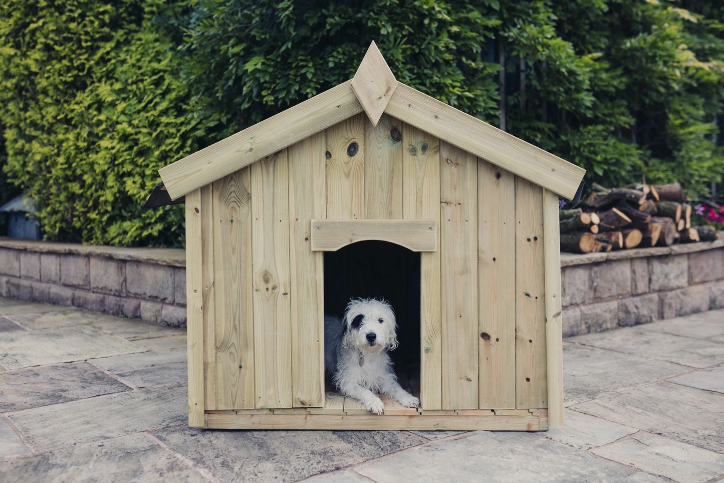 Apex Dog Kennel - Extra Large