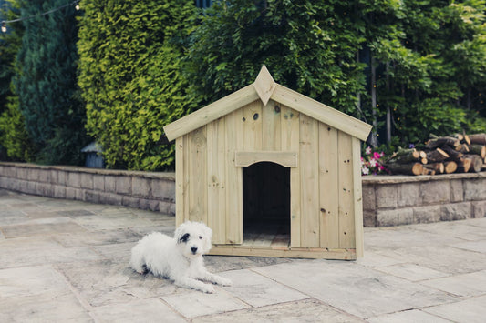 Apex Dog Kennel - Medium