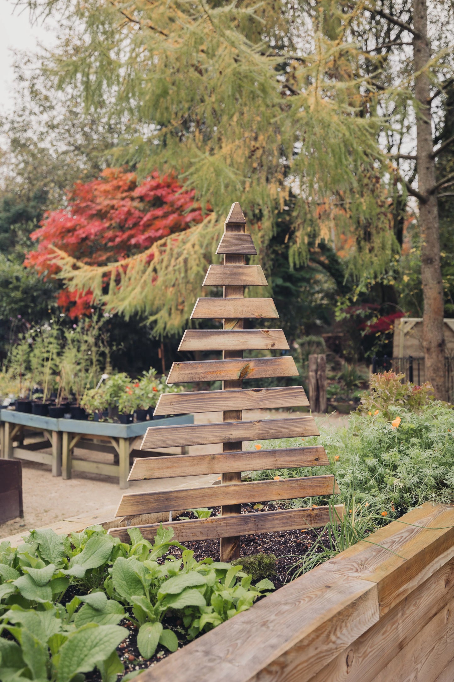 Wooden Christmas Tree - 3ft