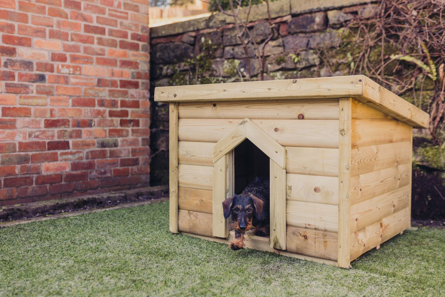 Pent Dog Kennel - Large