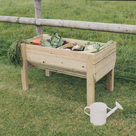 Raised Vegetable Planters Large